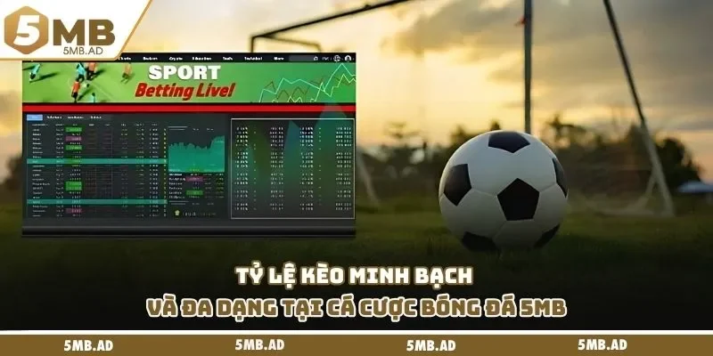 Tỷ lệ kèo minh bạch và đa dạng tại cá cược bóng đá 5MB