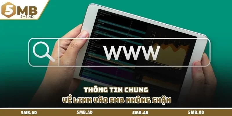 Thông tin chung về link vào 5MB không chặn