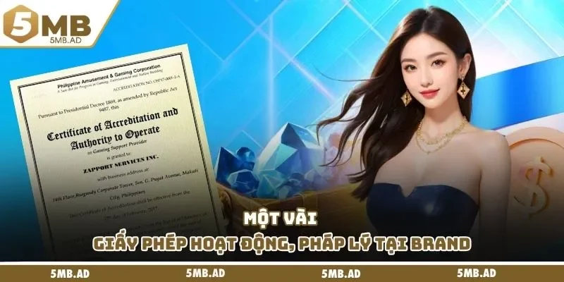 Một vài giấy phép hoạt động, pháp lý tại brand