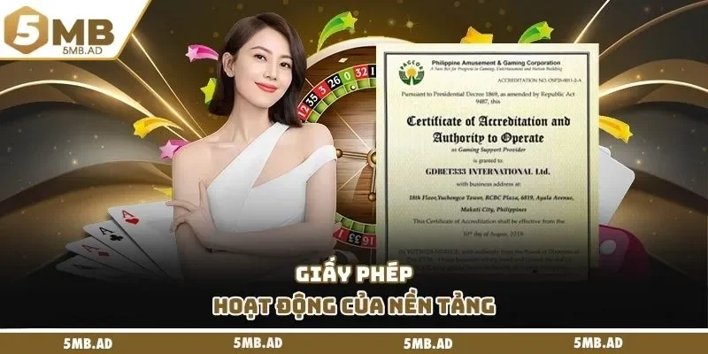 Giấy phép hoạt động của nền tảng